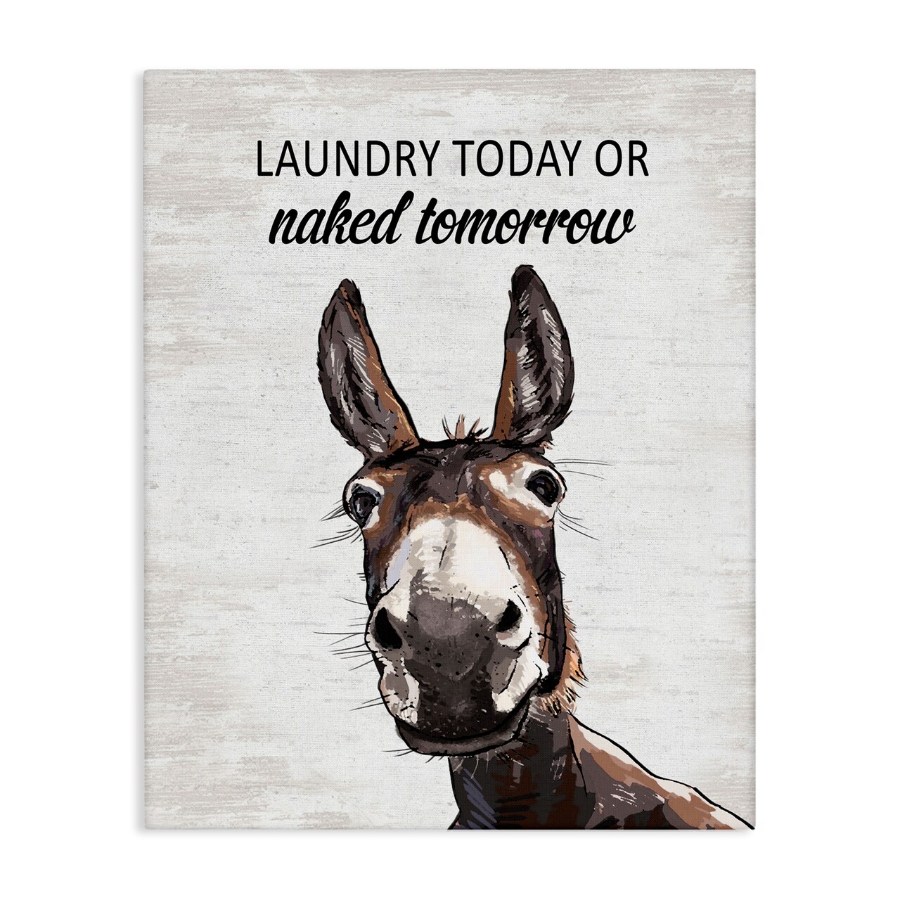 Stupell Industries Laundry Today Naked Tomorrow Donkey Canvas Design by Lettered and Lined